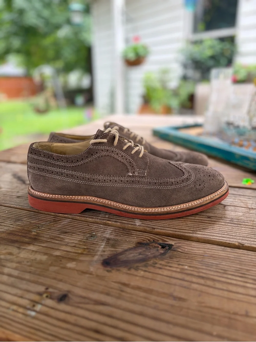 1901 Men's Suede Wingtip Oxfords in Taupe with Contrasting Sole